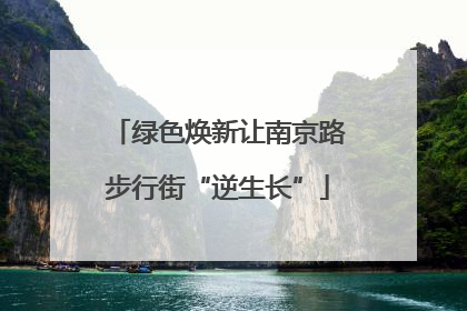 绿色焕新让南京路步行街“逆生长”