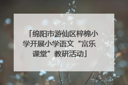 绵阳市游仙区梓棉小学开展小学语文“富乐课堂”教研活动