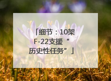 细节：10架F-22支援“历史性任务”
