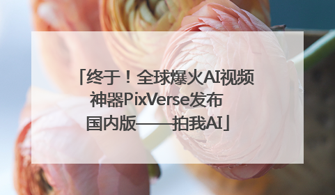 终于！全球爆火AI视频神器PixVerse发布国内版——拍我AI