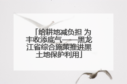 给耕地减负担 为丰收添底气——黑龙江省综合施策推进黑土地保护利用