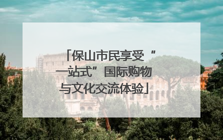 保山市民享受“一站式”国际购物与文化交流体验