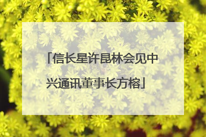 信长星许昆林会见中兴通讯董事长方榕