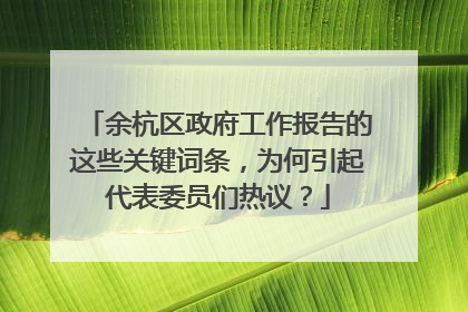 余杭区政府工作报告的这些关键词条，为何引起代表委员们热议？