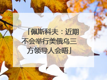 佩斯科夫：近期不会举行美俄乌三方领导人会晤