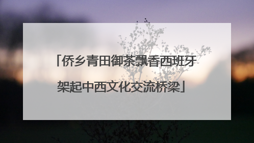 侨乡青田御茶飘香西班牙 架起中西文化交流桥梁