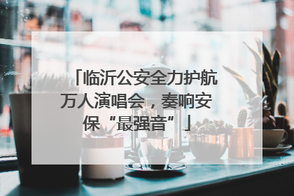 临沂公安全力护航万人演唱会，奏响安保“最强音”
