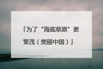 为了“海底草原”更繁茂（美丽中国）