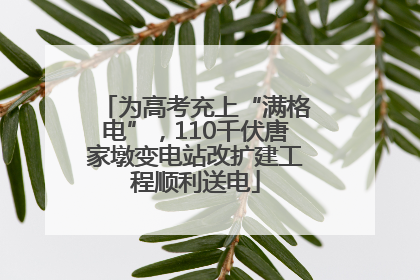 为高考充上“满格电”，110千伏唐家墩变电站改扩建工程顺利送电