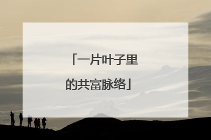 一片叶子里的共富脉络