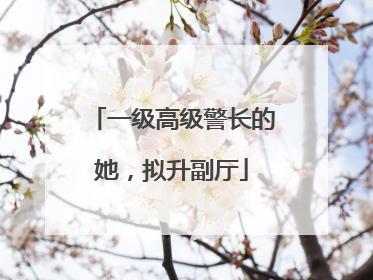 一级高级警长的她，拟升副厅