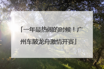 一年最热闹的时候！广州车陂龙舟激情开赛