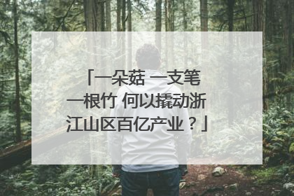 一朵菇 一支笔 一根竹 何以撬动浙江山区百亿产业？