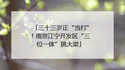 三十三岁正“当打”！南京江宁开发区“三位一体”挑大梁