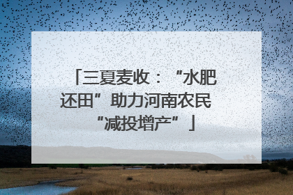 三夏麦收：“水肥还田”助力河南农民“减投增产”