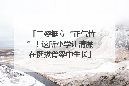 三姿挺立“正气竹”！这所小学让清廉在挺拔脊梁中生长