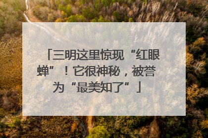 三明这里惊现“红眼蝉”！它很神秘，被誉为“最美知了”