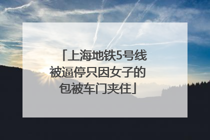 上海地铁5号线被逼停只因女子的包被车门夹住