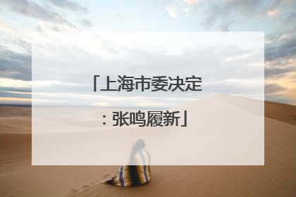 上海市委决定：张鸣履新