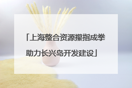 上海整合资源攥指成拳助力长兴岛开发建设
