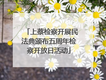 上蔡检察开展民法典颁布五周年检察开放日活动