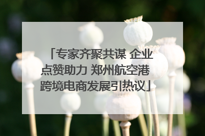 专家齐聚共谋 企业点赞助力 郑州航空港跨境电商发展引热议