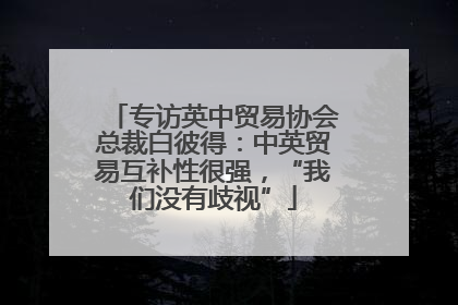 专访英中贸易协会总裁白彼得：中英贸易互补性很强，“我们没有歧视”