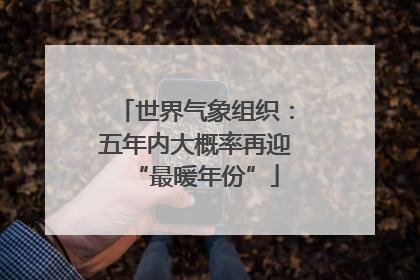 世界气象组织：五年内大概率再迎“最暖年份”