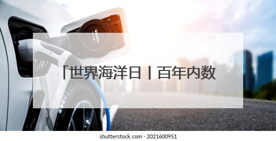 世界海洋日丨百年内数量锐减至不足1% 非洲企鹅为何迅速消失？
