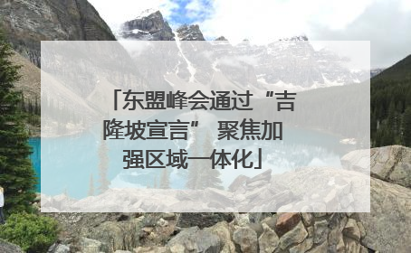 东盟峰会通过“吉隆坡宣言” 聚焦加强区域一体化