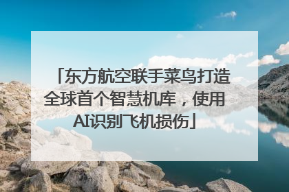 东方航空联手菜鸟打造全球首个智慧机库，使用AI识别飞机损伤