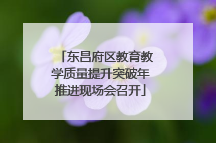 东昌府区教育教学质量提升突破年推进现场会召开