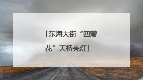 东海大街“四瓣花”天桥亮灯