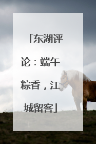 东湖评论：端午粽香，江城留客