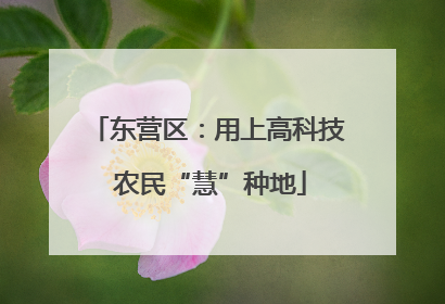 东营区：用上高科技 农民“慧”种地