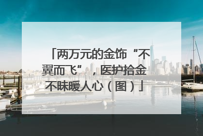 两万元的金饰“不翼而飞”，医护拾金不昧暖人心（图）