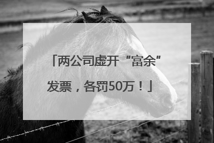 两公司虚开“富余”发票，各罚50万！