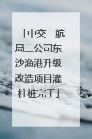 中交一航局二公司东沙渔港升级改造项目灌柱桩完工