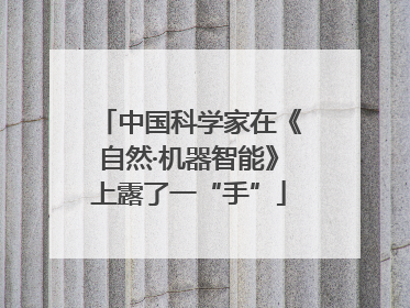 中国科学家在《自然·机器智能》上露了一“手”