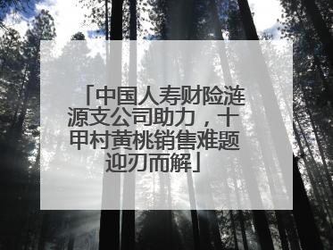 中国人寿财险涟源支公司助力，十甲村黄桃销售难题迎刃而解