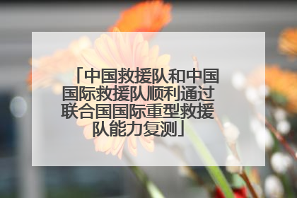 中国救援队和中国国际救援队顺利通过联合国国际重型救援队能力复测