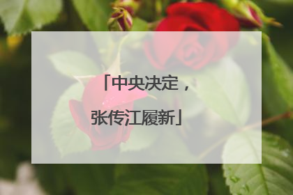中央决定，张传江履新
