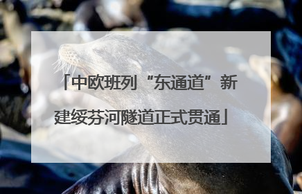 中欧班列“东通道”新建绥芬河隧道正式贯通