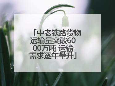 中老铁路货物运输量突破6000万吨 运输需求逐年攀升