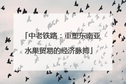 中老铁路：重塑东南亚水果贸易的经济脉搏