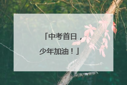 中考首日，少年加油！