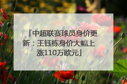 中超联赛球员身价更新：王钰栋身价大幅上涨110万欧元