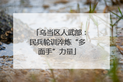 乌当区人武部：民兵轮训淬炼“多面手”力量