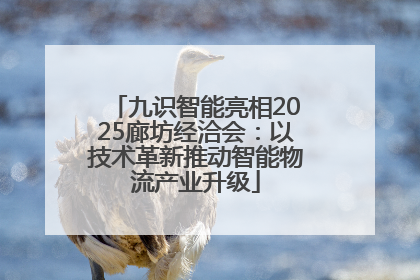 九识智能亮相2025廊坊经洽会：以技术革新推动智能物流产业升级