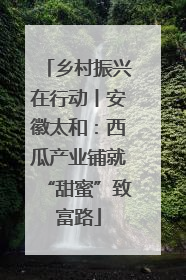 乡村振兴在行动丨安徽太和：西瓜产业铺就“甜蜜”致富路